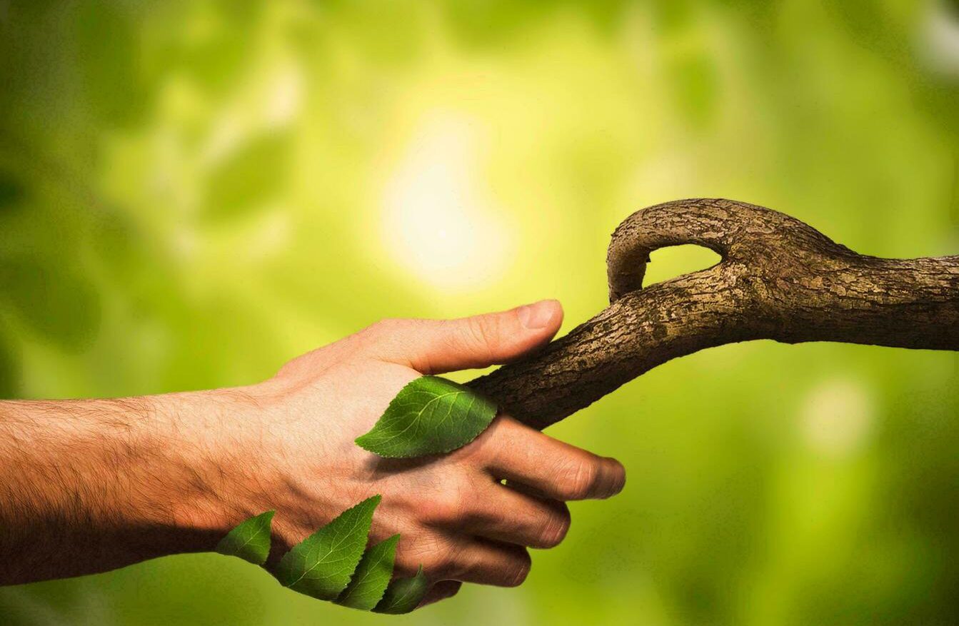 محیط زیست و منابع طبیعی